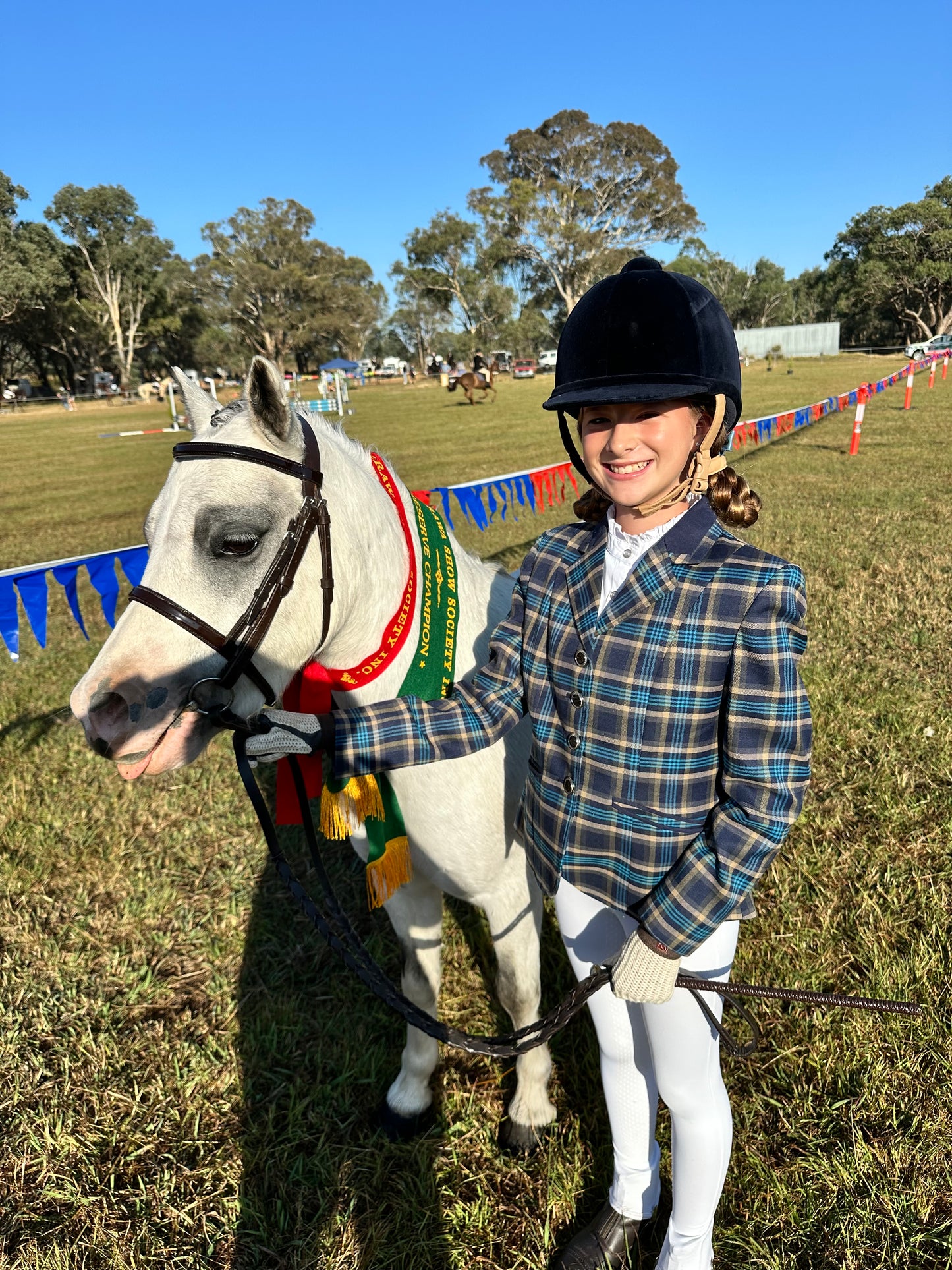 Riding Lessons - On our lesson horses