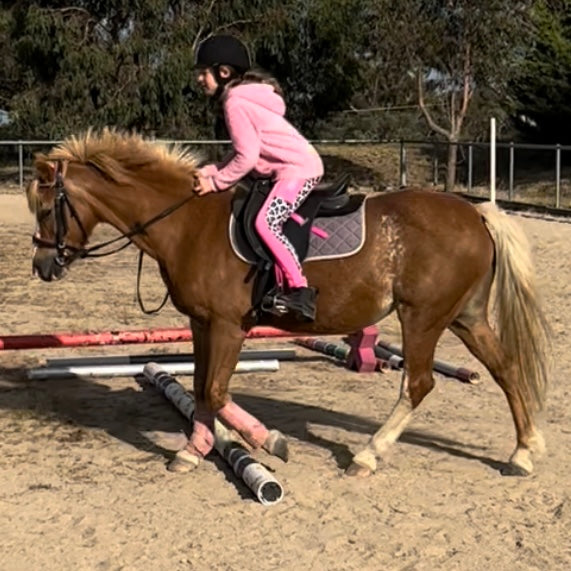 RIDING LESSONS