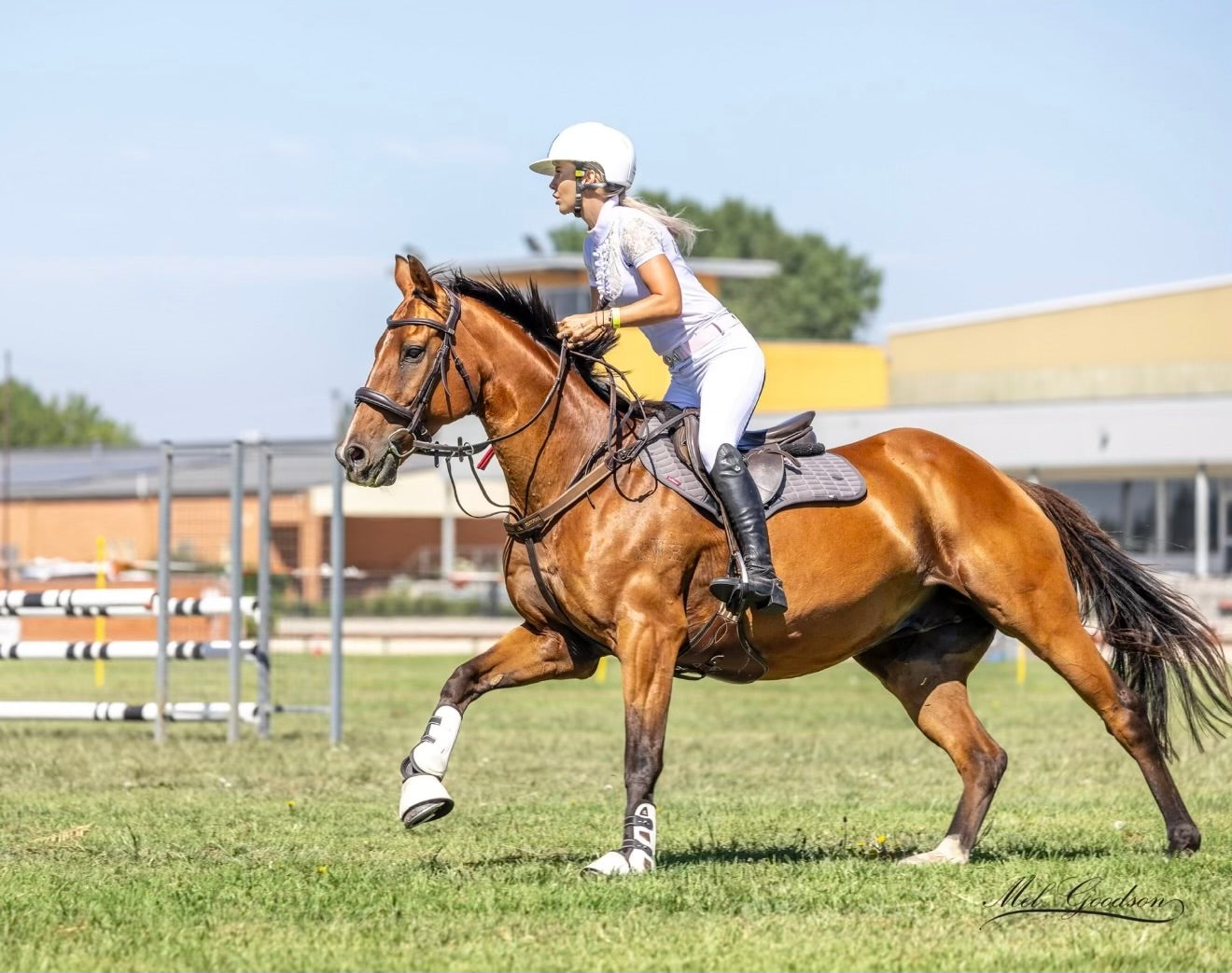 Riding Lessons - On our lesson horses