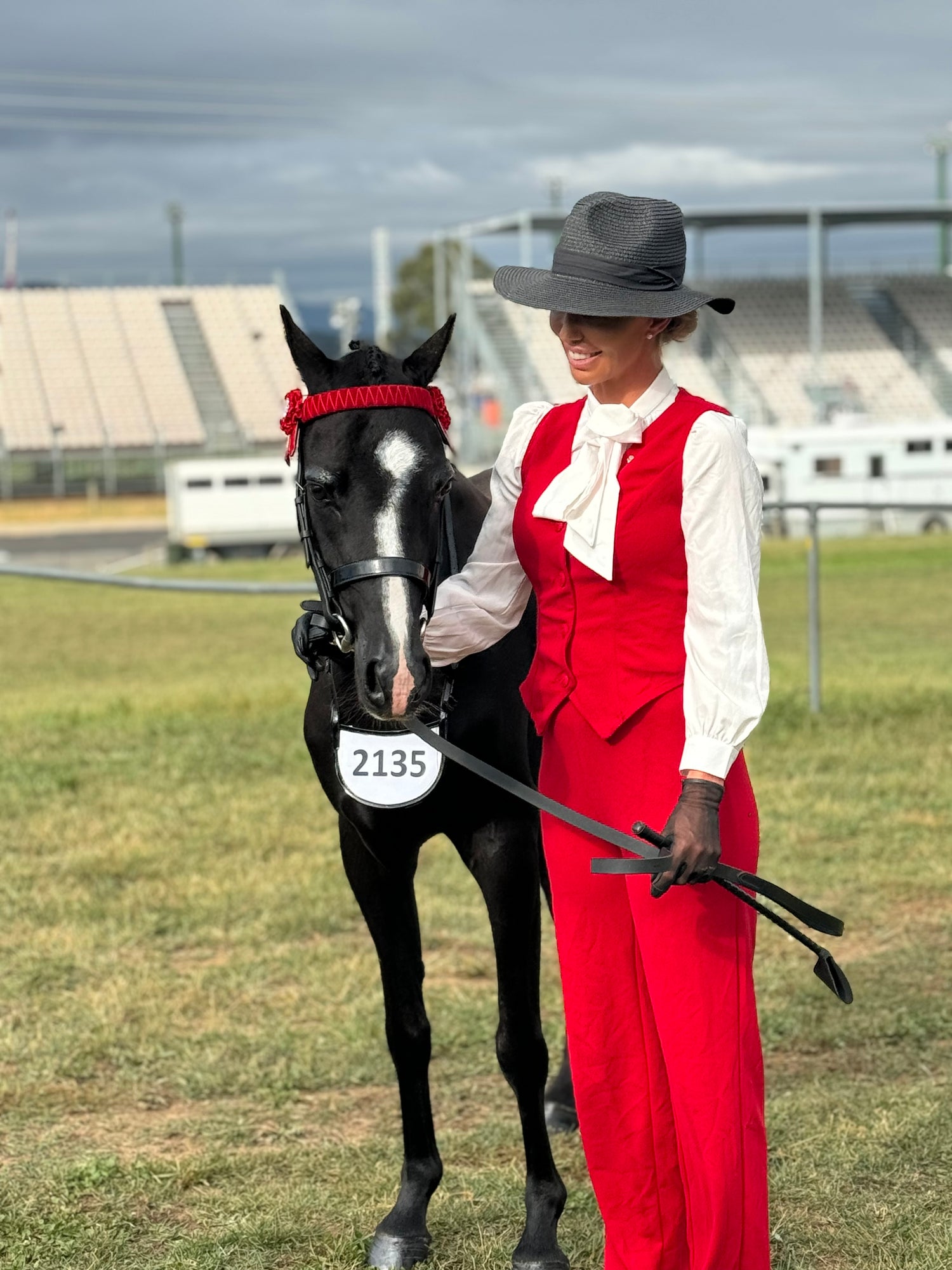 HORSES FOR SALE