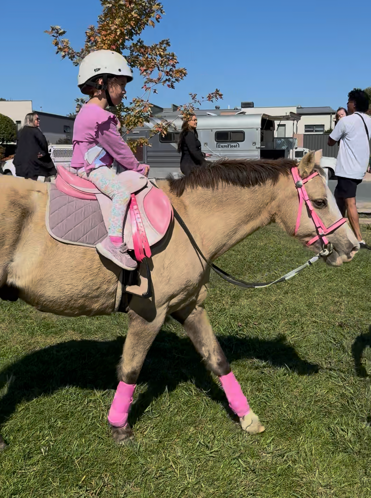 Pony Rides