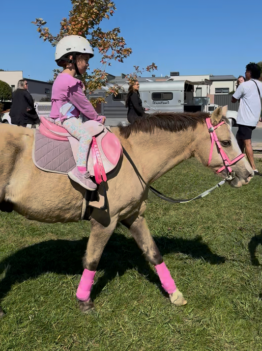 Pony Rides