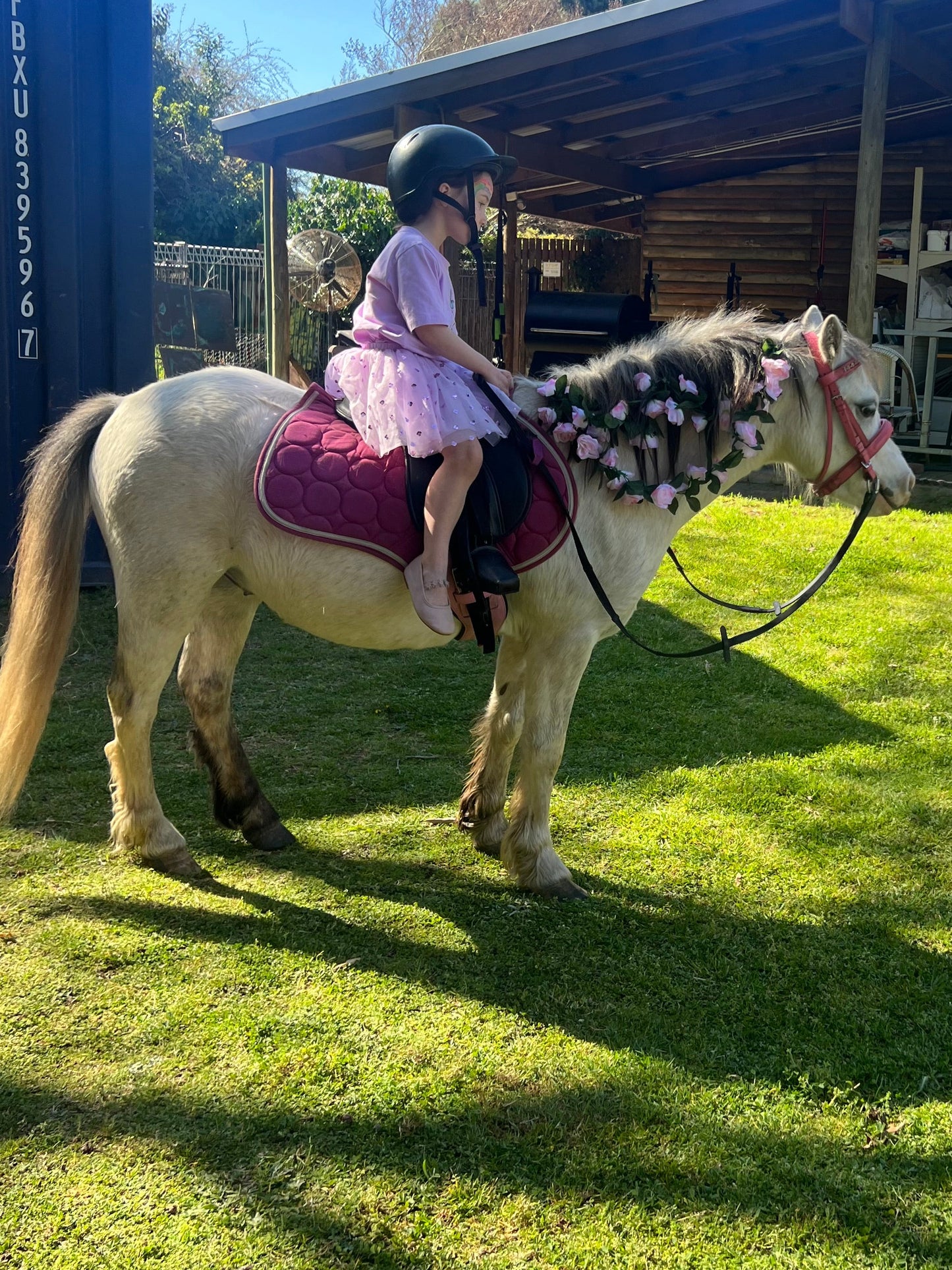 Pony Rides