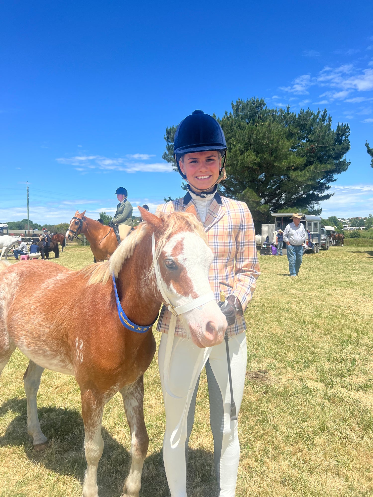 LESSON HORSES