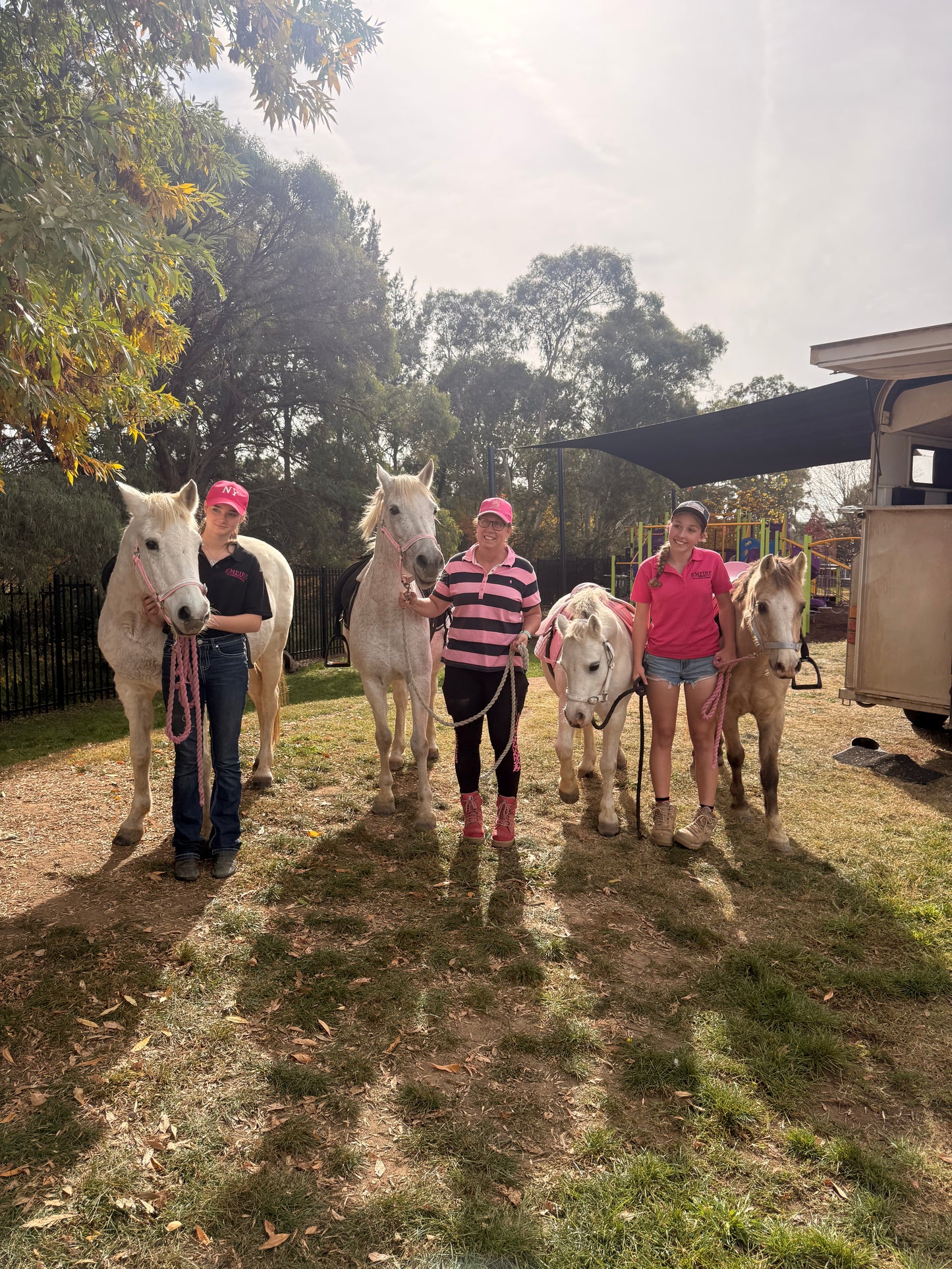 Pony Rides