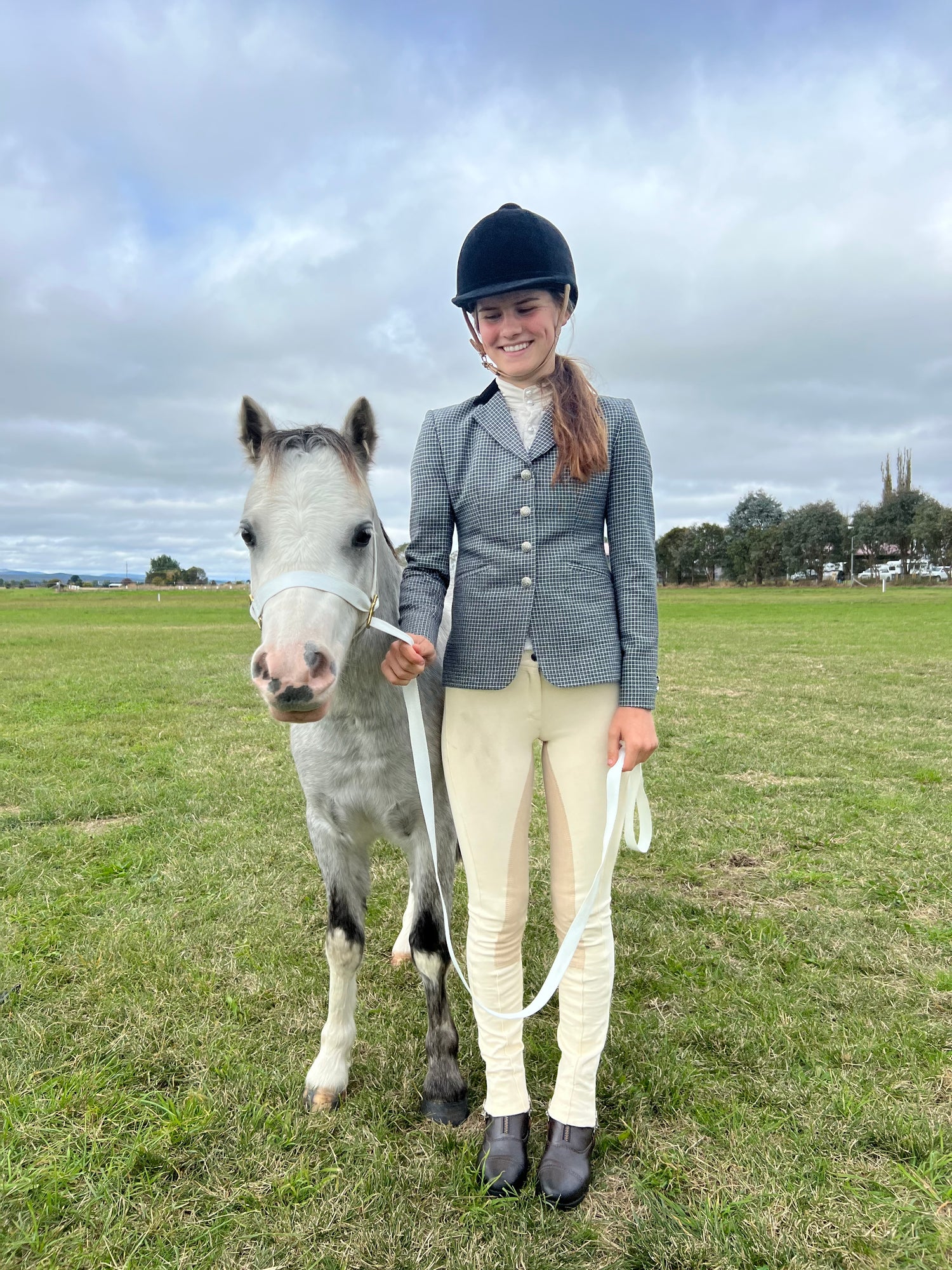 COMPETITION HORSES