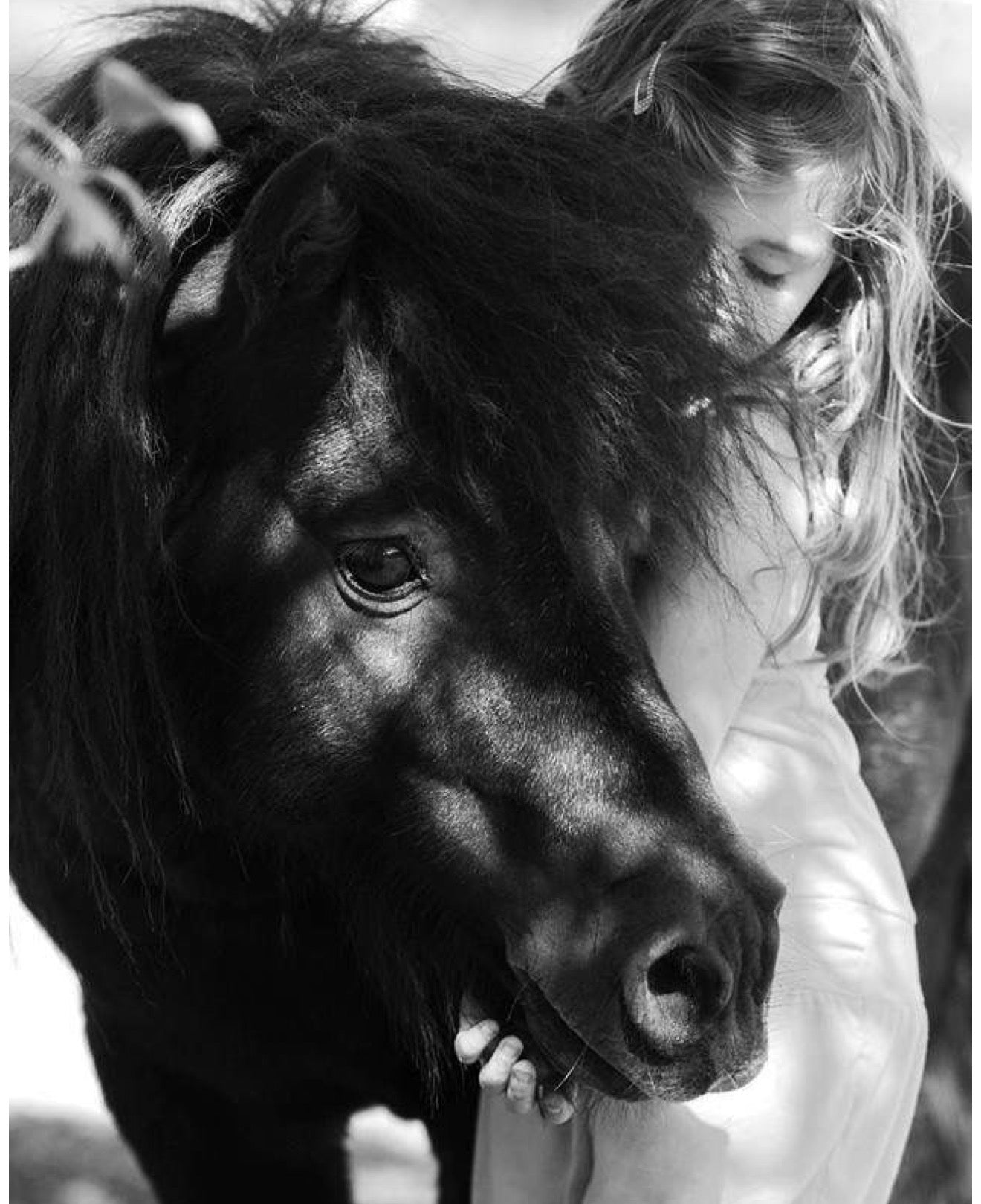 NDIS HORSE & ANIMAL EXPERIENCES