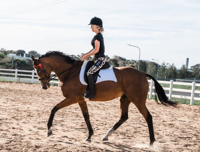 Education & Re-Education