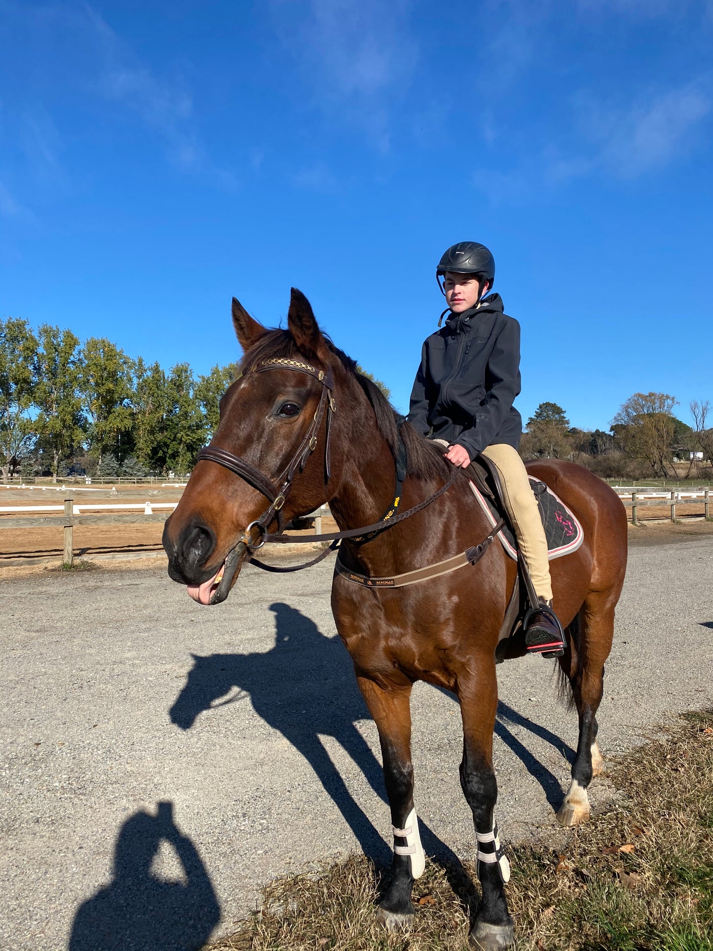 Riding Lessons - On our lesson horses