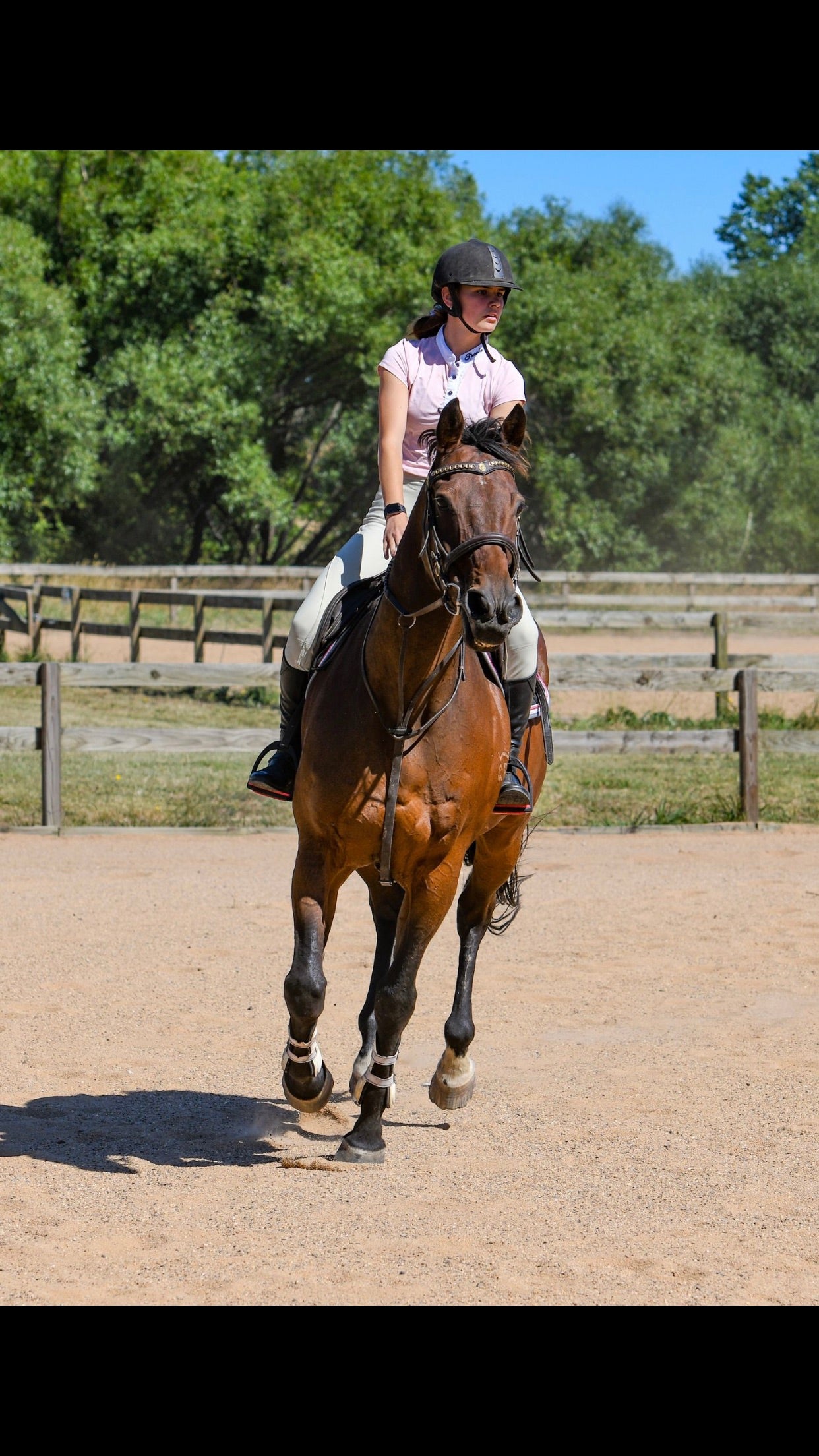 Riding Lessons - On our lesson horses