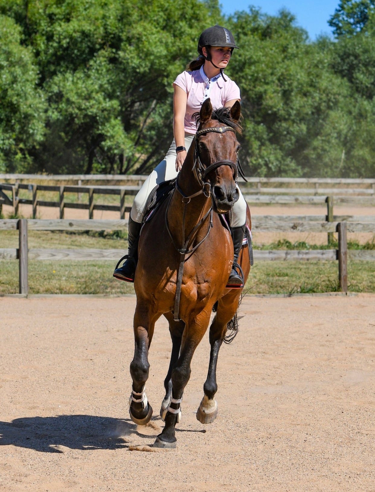 RIDING LESSONS