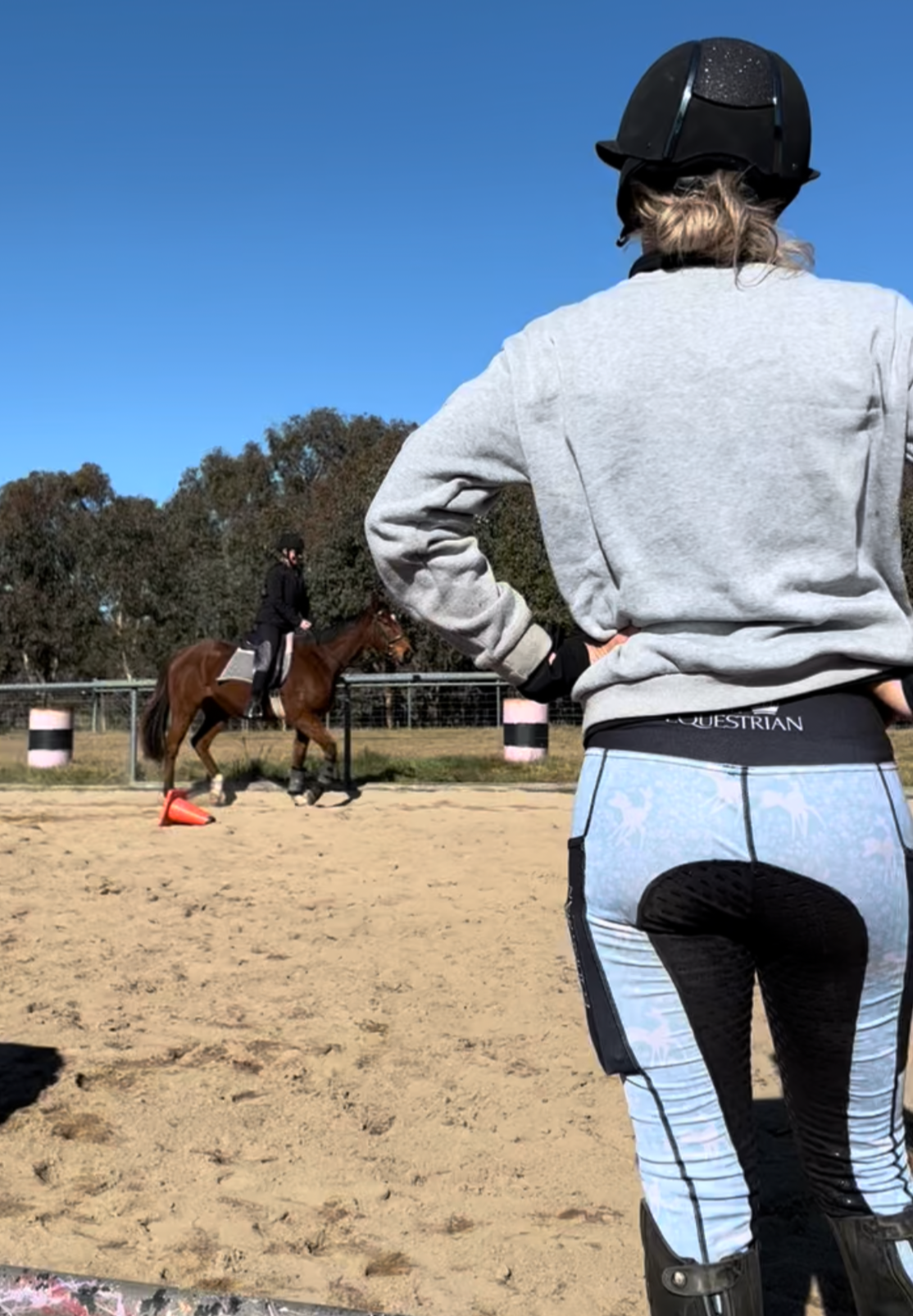 Riding Lessons - On our lesson horses