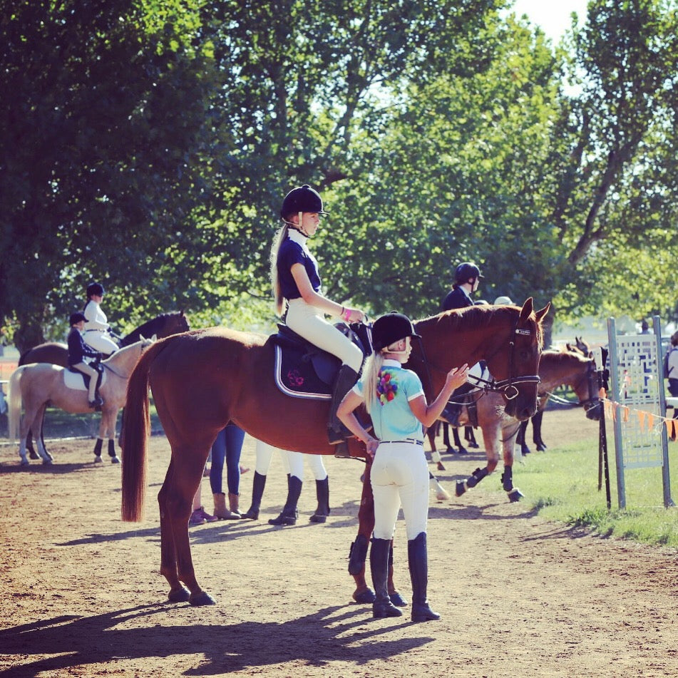 Riding Lessons - On your horse