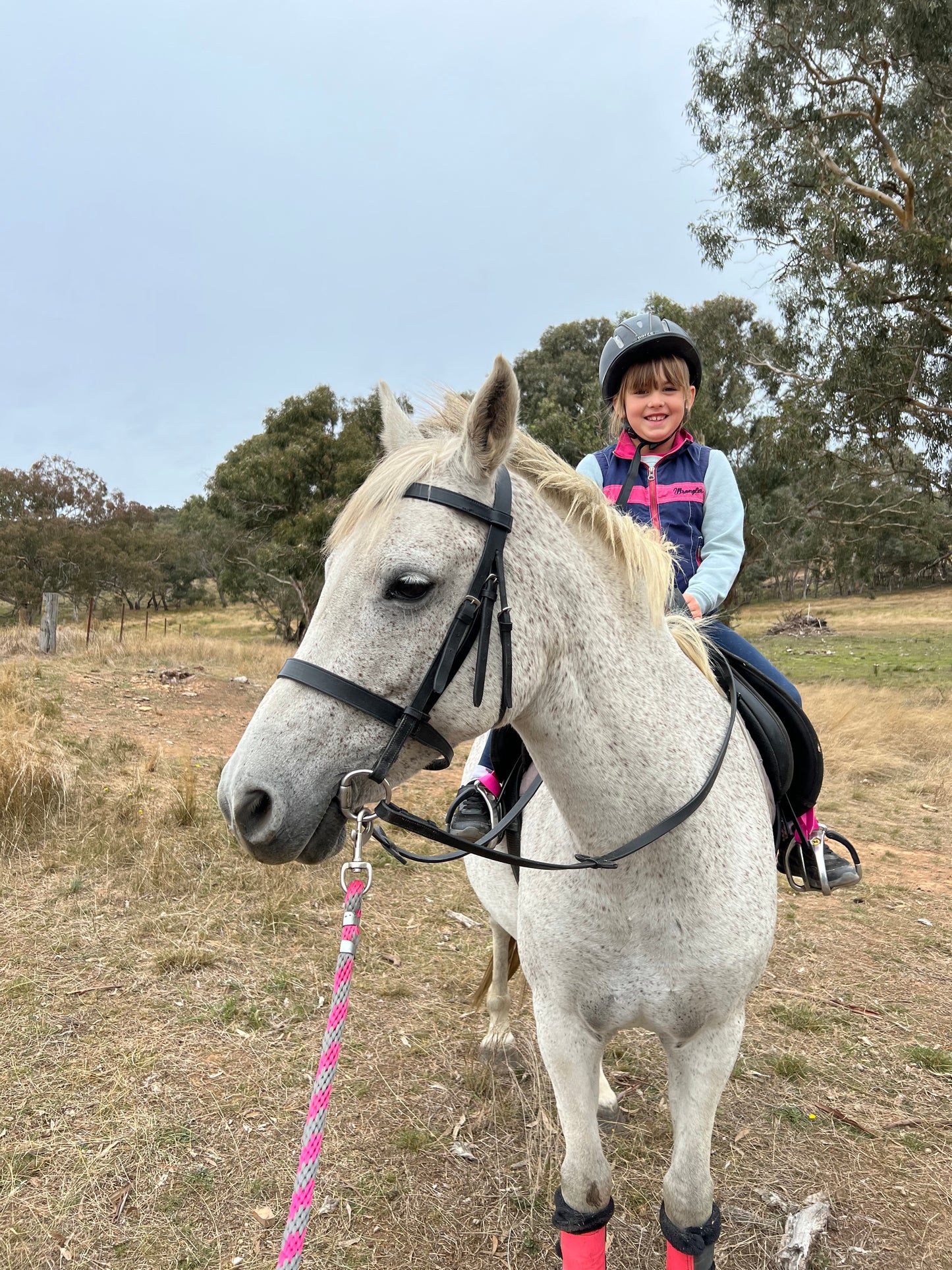 Riding Lessons