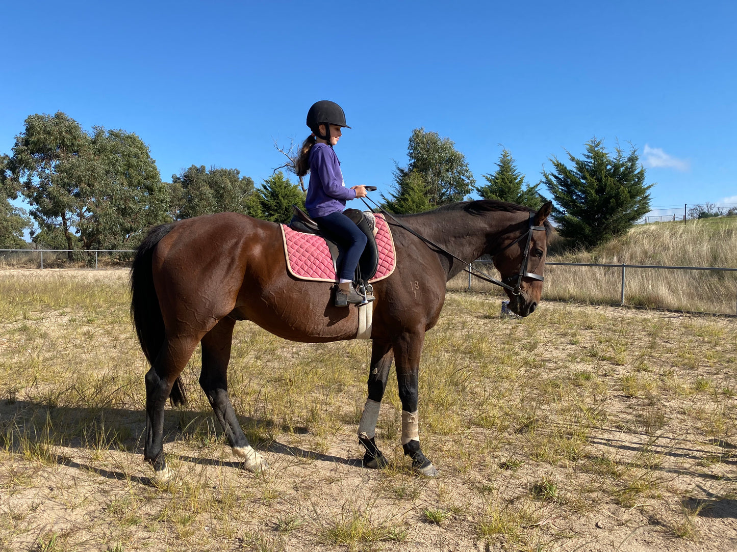 Riding Lessons - On our lesson horses