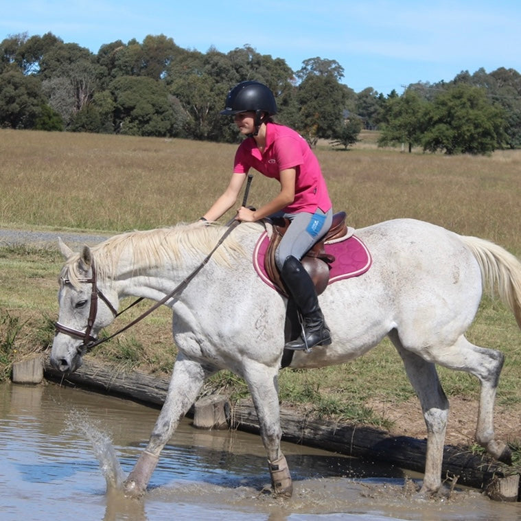 Riding Lessons - On our lesson horses