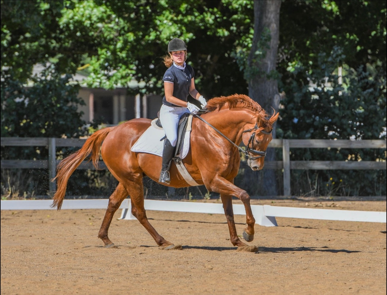 Riding Lessons - On your horse